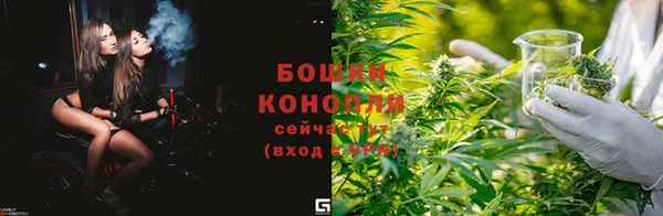 ПСИЛОЦИБИНОВЫЕ ГРИБЫ Няндома