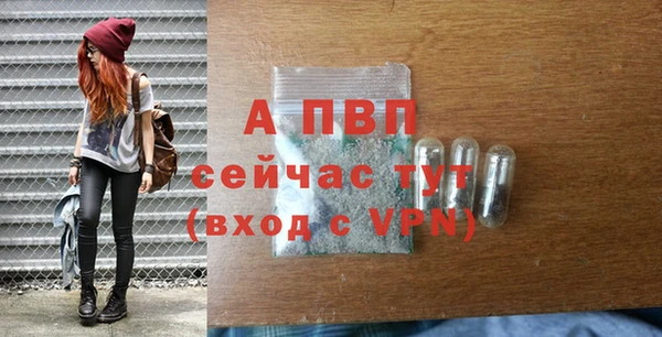 MESCALINE Кострома