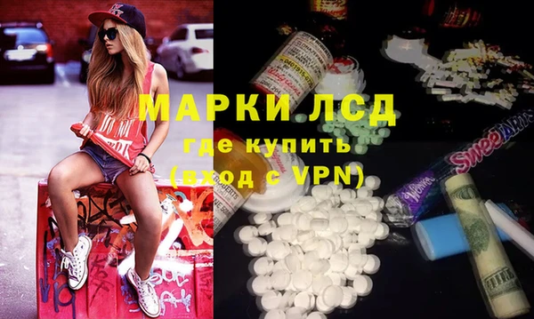 ПСИЛОЦИБИНОВЫЕ ГРИБЫ Няндома