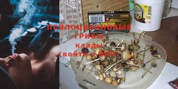 мдпв Осинники
