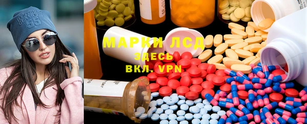 ПСИЛОЦИБИНОВЫЕ ГРИБЫ Няндома