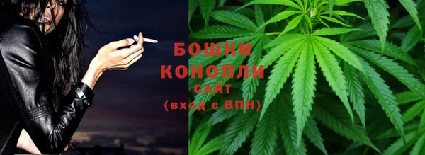 дурь Осташков