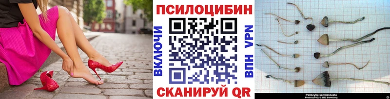 Галлюциногенные грибы мухоморы  Ковылкино 